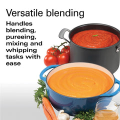 Hamilton Beach® Professional Variable Speed Hand Blender
