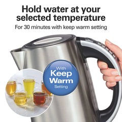 Variable Temperature Stainless Steel Kettle